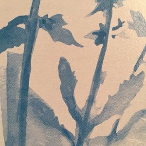 Meet your Posher, Jane